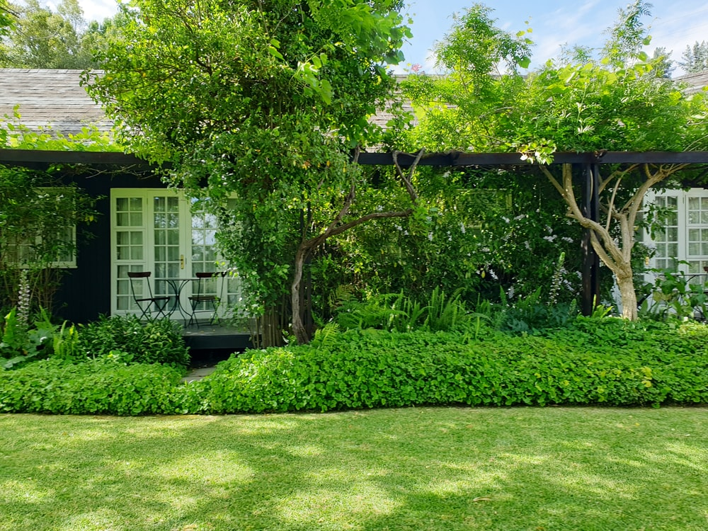parte externa de casa com gramado, arbustos e árvores