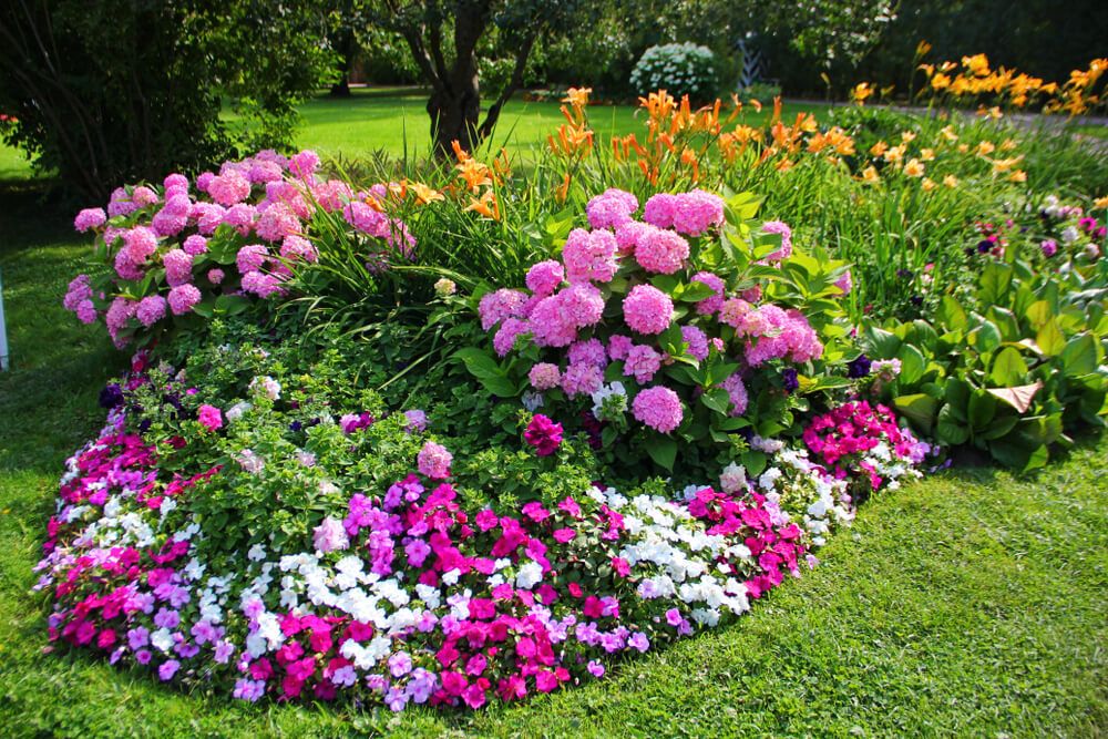 aménagement paysager : Parterres de fleurs