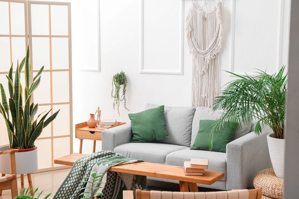casa decorada com plantas e materiais naturais