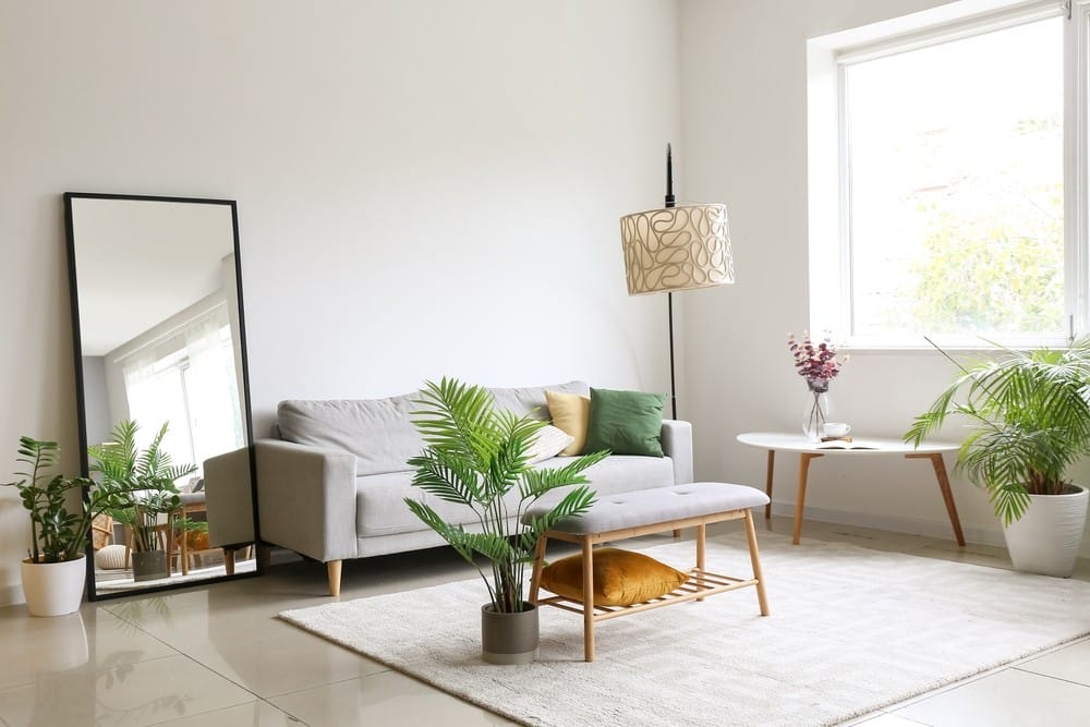 salon avec canapé confortable, plantes d'intérieur et miroir près d'une grande fenêtre