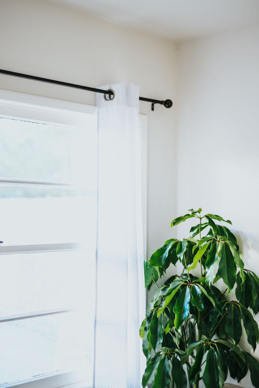 cortinas con ollaos blancas con barra de cortinas negra, planta