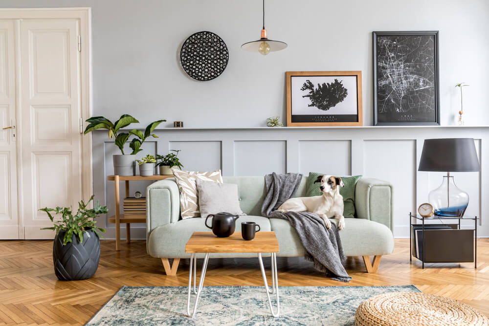 Stylish living room with mint sofa,coffee table, lamp, plants, pillows and elegant accessories