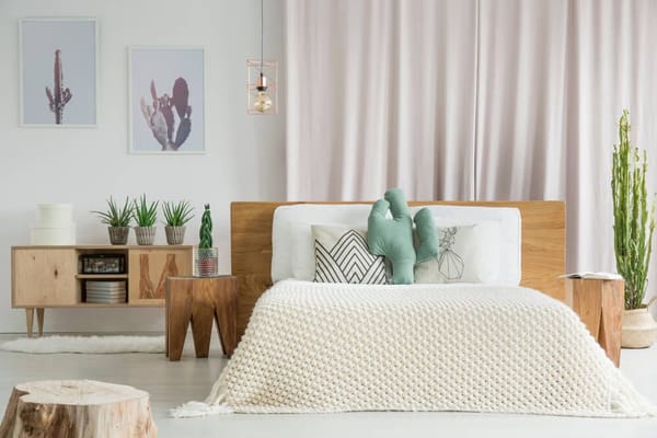 Como decorar seu espaço interno com Plantas, dicas e inspirações 